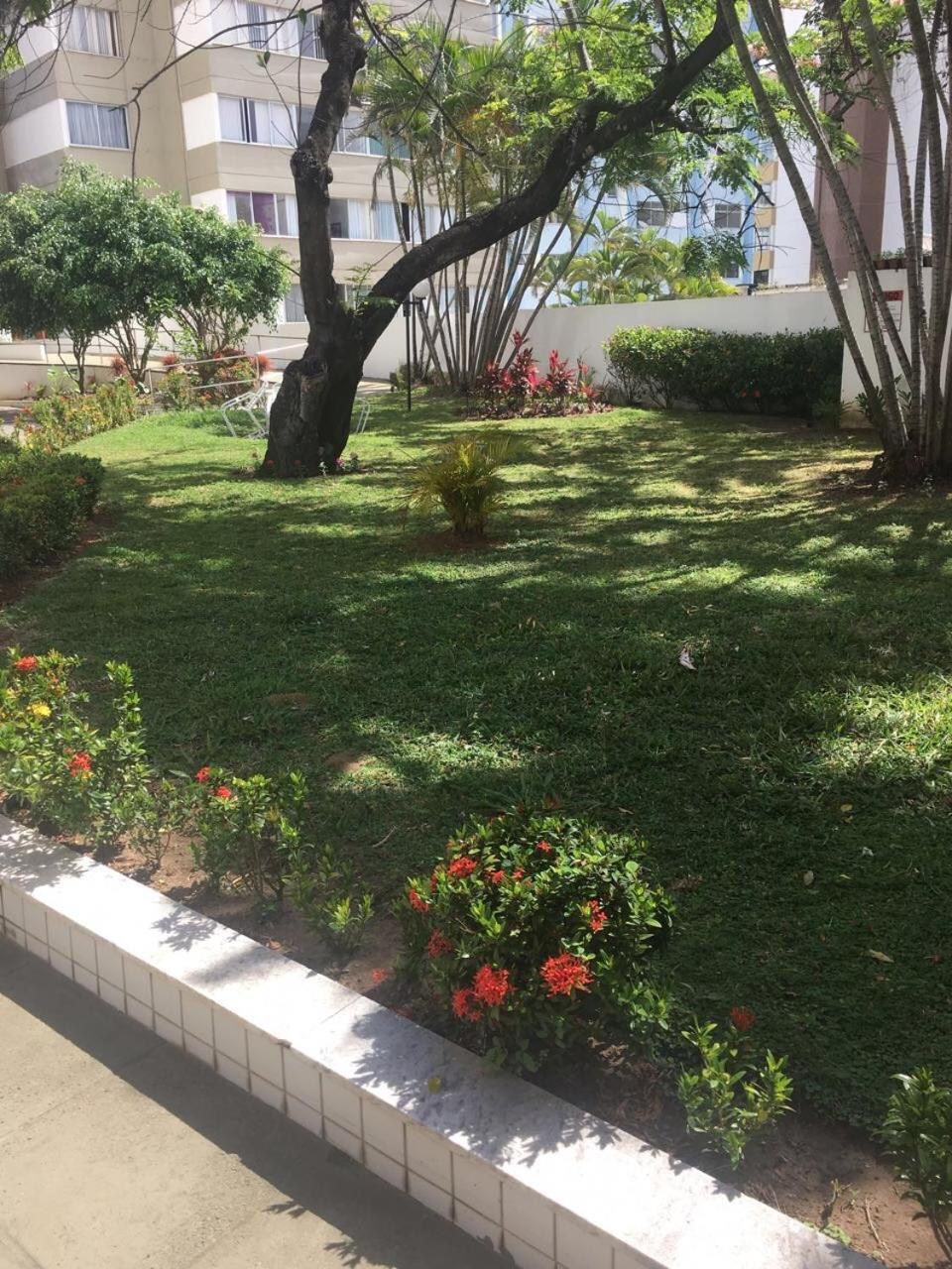 Barra Summer Flat *